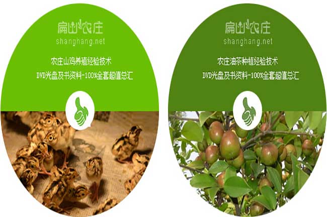 油茶樹種植山雞養(yǎng)殖技術(shù)