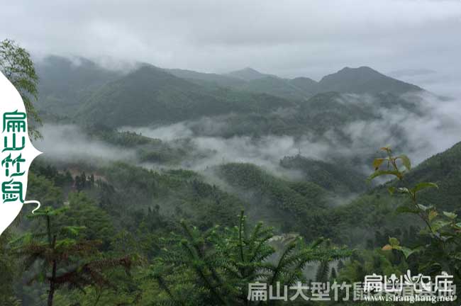 云南大理麗江昆明西雙版納毛血青腳土雞苗孵化養(yǎng)殖基地合作社批發(fā)