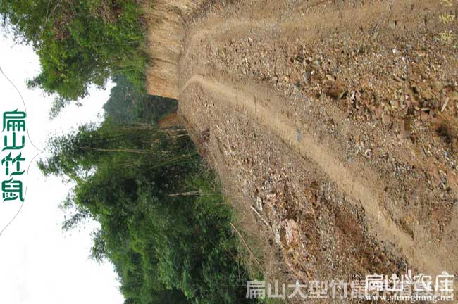 進(jìn)大山的公路