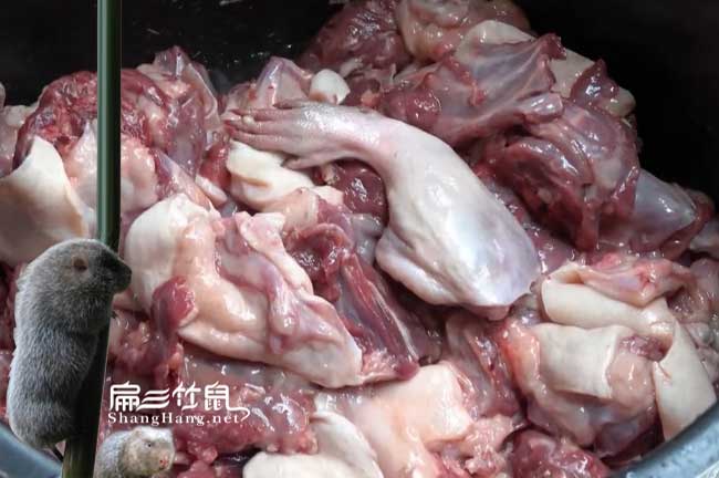 西雙版納竹鼠肉價(jià)格