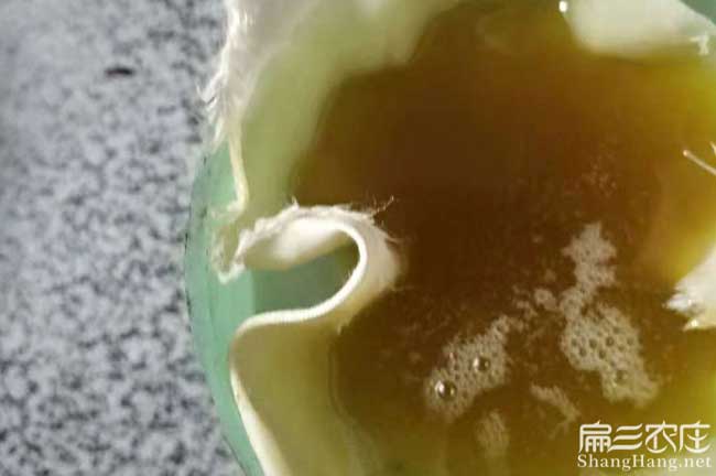 廣西油茶批發(fā)