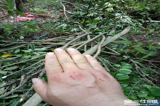 田乾相對南方地區(qū)來說