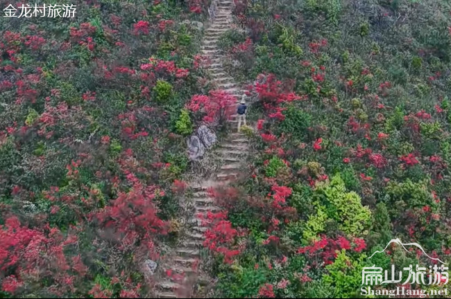 福建金龍村風(fēng)景