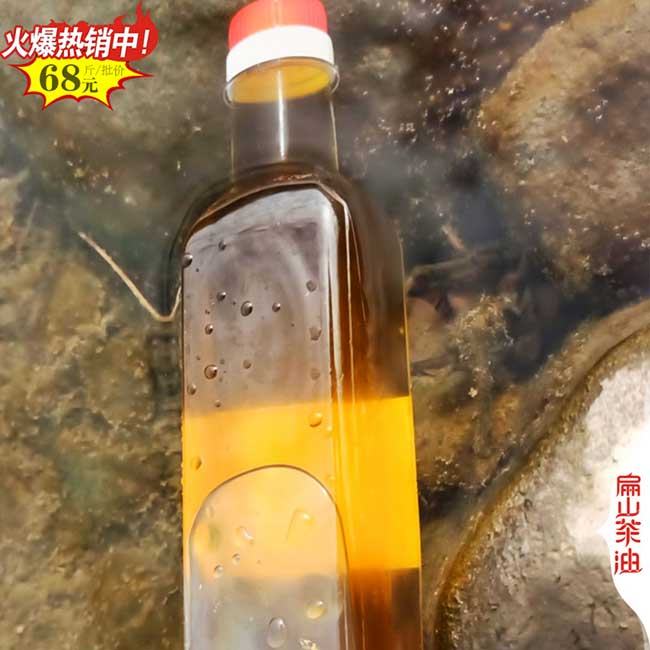 中山茶油價(jià)格