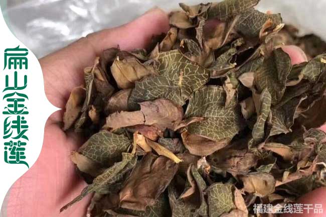 光澤金線蓮干貨價