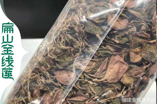 廣元金線蓮干品價錢