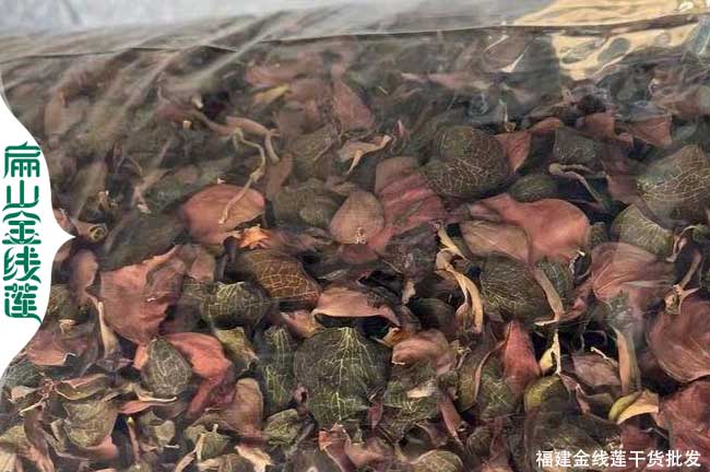 南靖金線蓮干貨