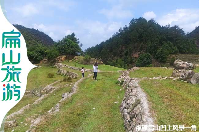 2023農(nóng)村荒廢的農(nóng)田風(fēng)景