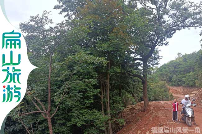 上杭扁山存新開公路道路旁風(fēng)景