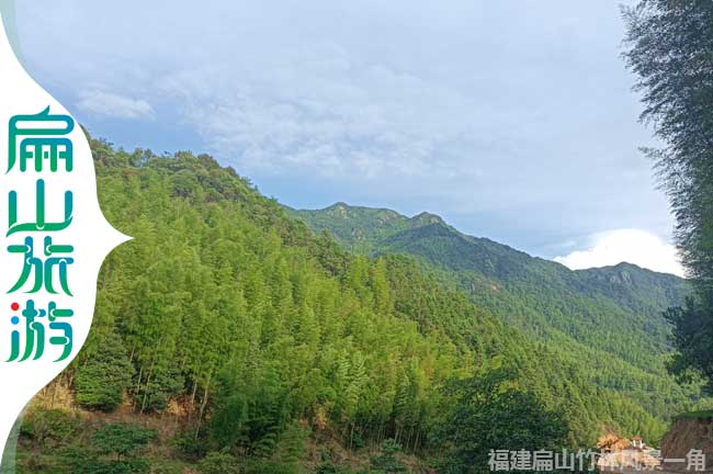 扁山竹林風(fēng)景