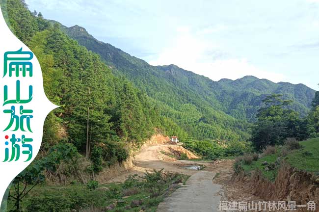 福建林業(yè)公路風(fēng)景一角