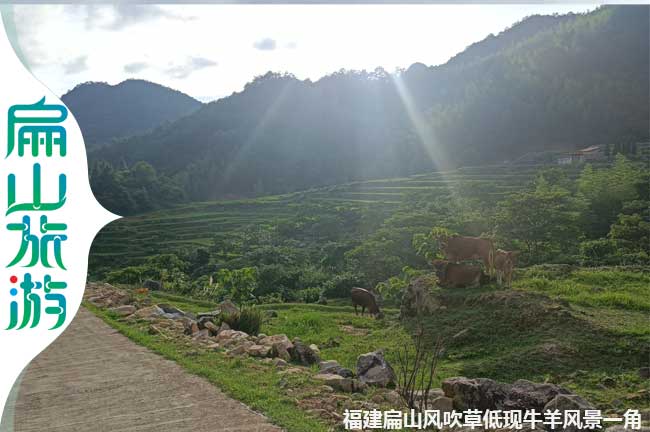 夕陽下的扁山風景