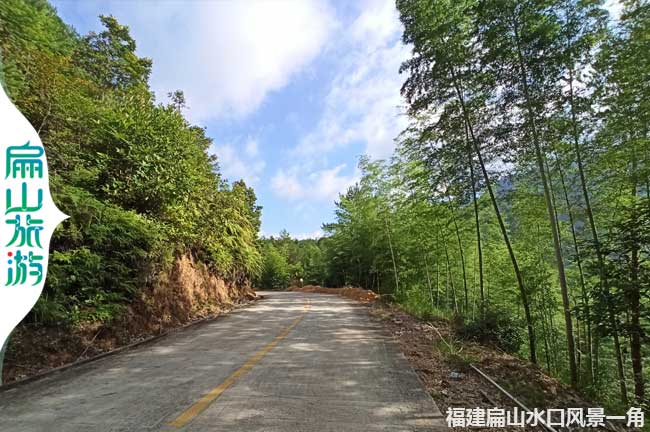 扁山村口竹林風(fēng)景