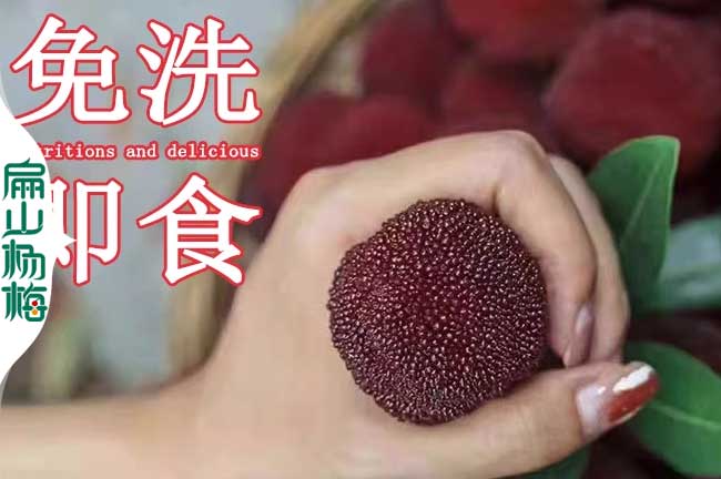 湘潭荸薺楊梅