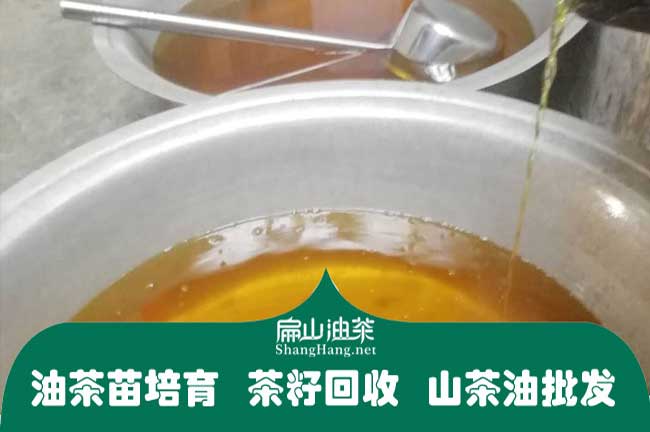 2024新鮮茶油批發(fā)