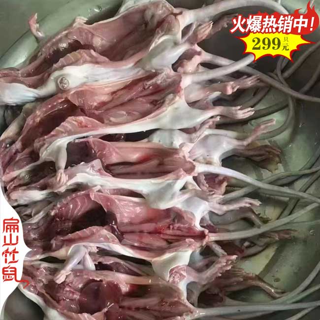 廣東浙江竹鼠養(yǎng)殖 江西廣西現(xiàn)殺活體多少錢(qián)一斤 種苗480元