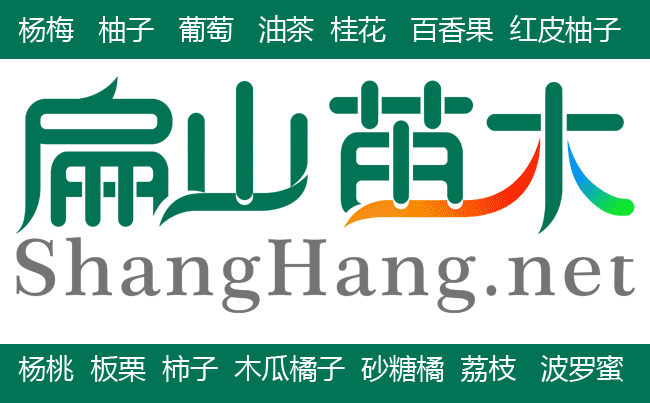 廣西苗木網(wǎng)