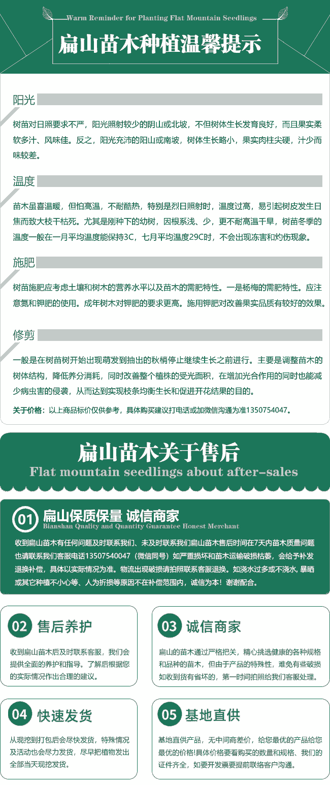 扁山苗木培育售后