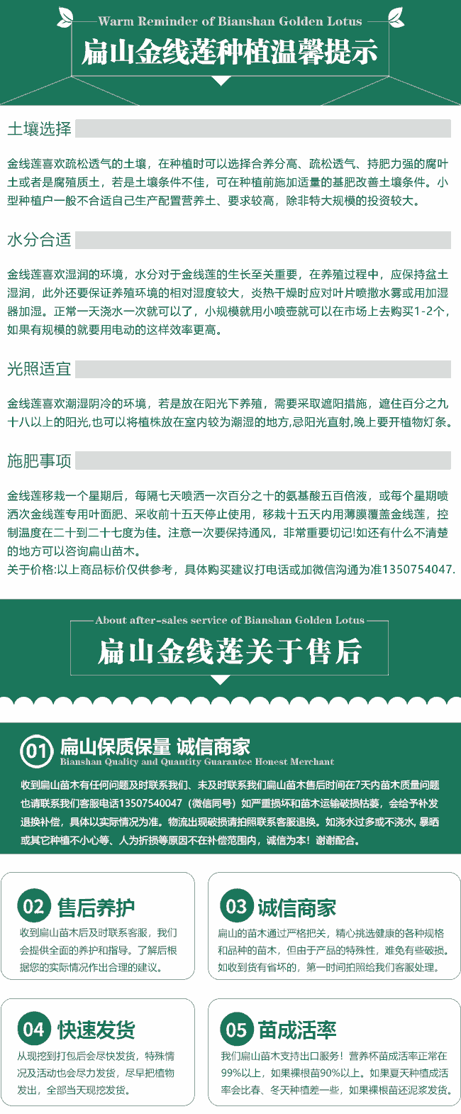 扁山苗木培育售后